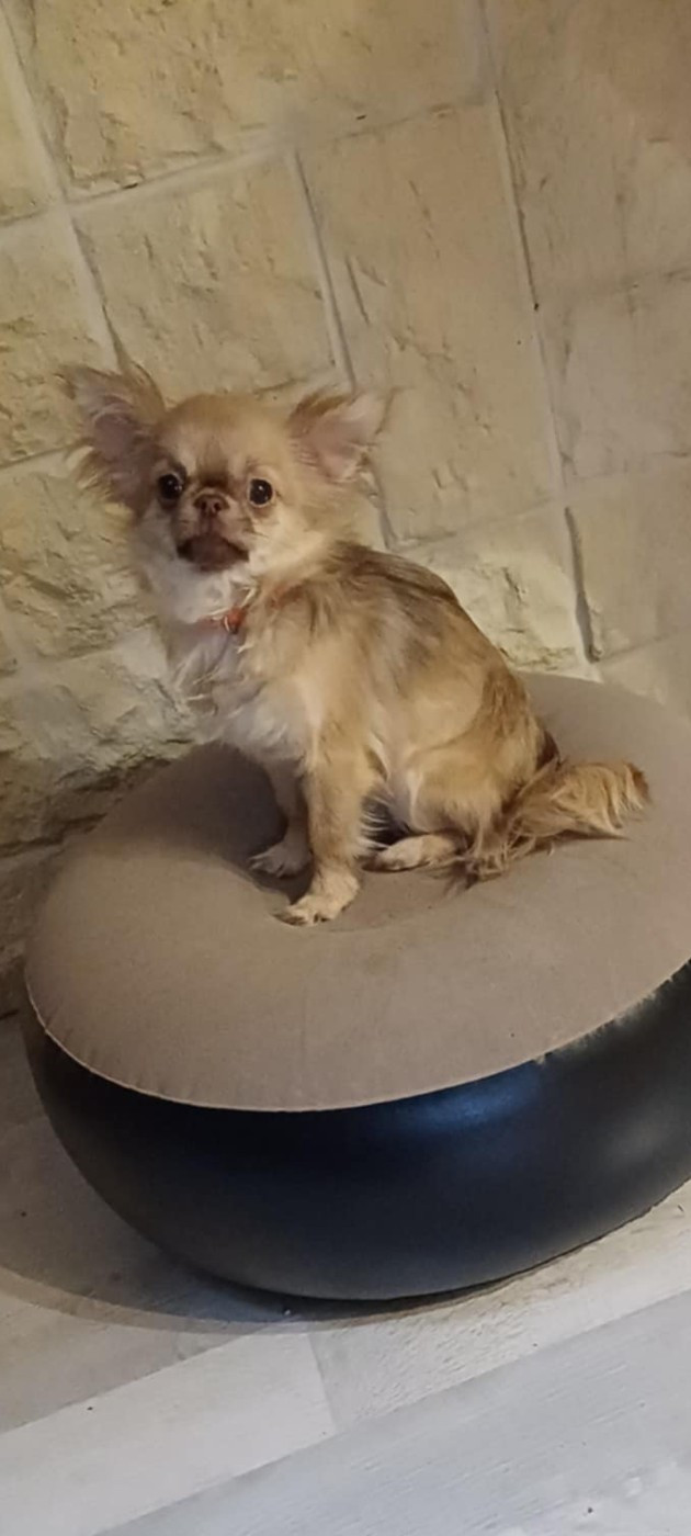 Vaïana (Sans Affixe)